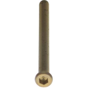 Intersteel Bout 6-kant tbv SKG3 rozetten PVD messing getrommeld