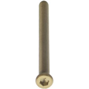 Intersteel Bout 6-kant tbv SKG3 rozetten PVD messing