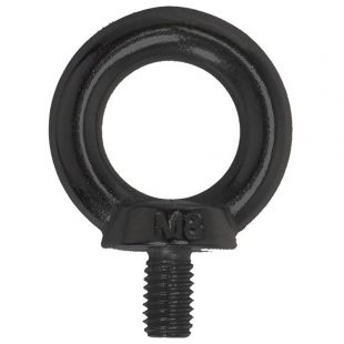 Oogbout M8 zwart RVS 316