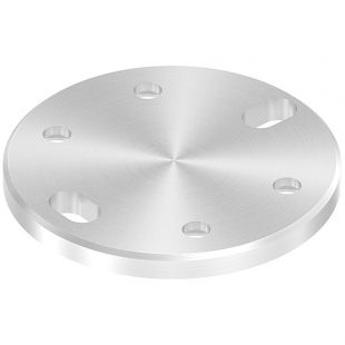 RVS Ankerplaat Rond 100 x 8 mm, Met slobgaten, Voor buisklemmen