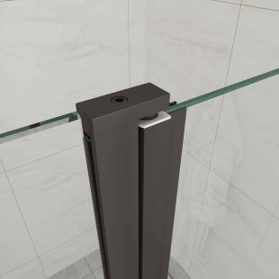 Douchedeur scharnierprofiel glas/glas 2000 mm zwart