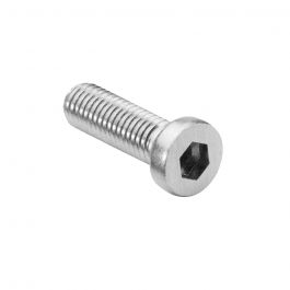 Inbusbouten Met Lage Kop M12 X 30 Mm DIN7984 RVS 316 A4