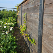 Ben je op zoek naar een duurzame én mooie manier om planten in de tuin te geleiden? 🌿 Wij hebben een groot assortiment hoogwaardig RVS staaldraad en toebehoren, perfect voor het aanleggen van een sterke geleiding voor klimplanten. RVS is ideaal voor buitengebruik en zorgt ervoor dat je planten jaar na jaar veilig kunnen groeien 🌞 🌱 #rvsland #druivenplanten #tuinleven #staaldraad #tuinproject #plantengeleiding #achtertuin #tuinieren #duurzaamtuinieren #klimplanten #groenindetuin